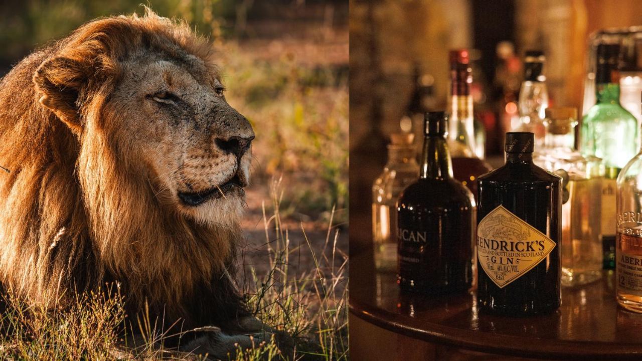 Geiger'S Camp In Timbavati Game Reserve By Newmark Екстериор снимка