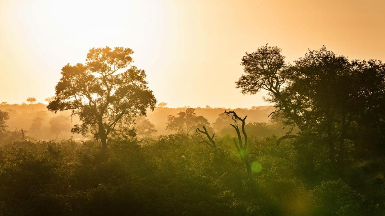 Geiger'S Camp In Timbavati Game Reserve By Newmark Екстериор снимка