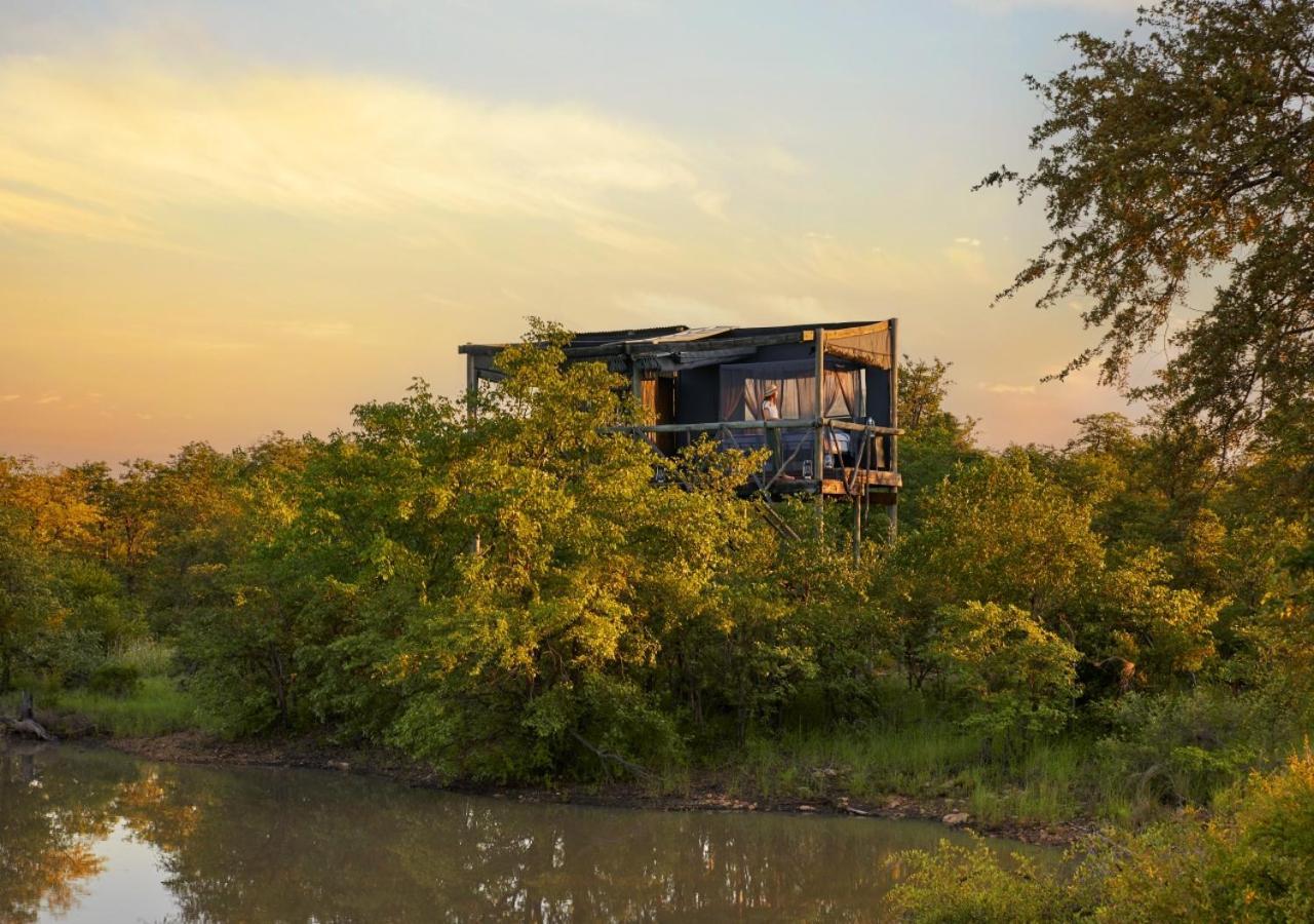 Geiger'S Camp In Timbavati Game Reserve By Newmark Екстериор снимка